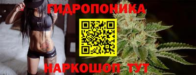 индика Тара