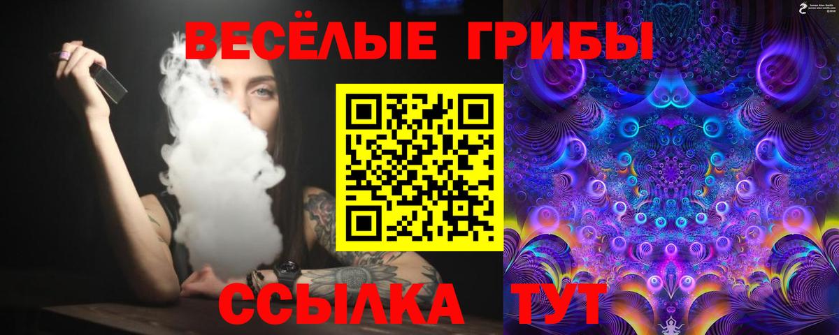Галлюциногенные грибы Psilocybe  Вход с VPN  Нерюнгри  Галлюциногенные грибы GOLDEN TEACHER 